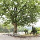 용혈2리 이미지