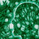 브레인온 이미지