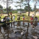 영해어린이집 이미지