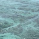 한바다식당 | 두번째 보홀 기록_3 (한바다 호핑투어 후기, 필리핀 전통음식 레촌, 숯불꼬치)