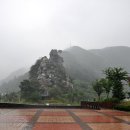 꼴두바우 이미지