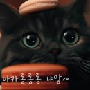 카페롱롱