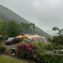 [경남 밀양] 서당골캠핑장 오죽2,3 다녀왔습니다 :)