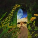 고양이이야기 이미지