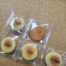 제주한라대학교 이미지