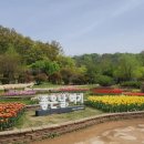 무릉도원 이미지