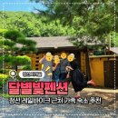 메트로마트 본점 | 정선 달별빛 펜션 계곡 근처에 위치한 가족 숙소 추천