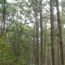 부광목욕탕 | 신패밀리의 열번째 캠핑이야기(양주 부광농원 8/20 ~21)