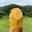 수산 마켓 이미지