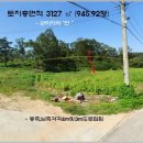 양사면-3 이미지