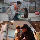 배식농장2 이미지