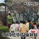 매화숲유치원 | 3월 봄 숲체험 꽃과 나비