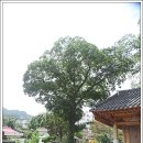 수성사 이미지