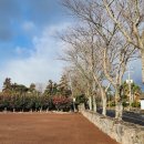 삼달교차로 3 이미지