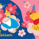 블로썸코리아 이미지