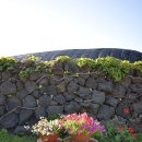 제주신촌돌집독채민박 이미지