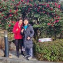 세계자동차&피아노 박물관 이미지