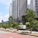 마로니에 이미지