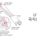 연하곡지 이미지