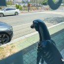 양원주동물병원 이미지