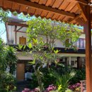 블루버드 모텔 | 섬 발리에서의 9박11일 기록 #6 / 사누르 숙소 후기편 / 스와스티카 방갈로 Swastika Bungalows...