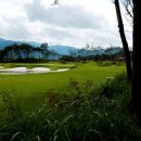 알프스대영CC 이미지