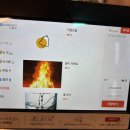 한남성 왕꼬치 이미지