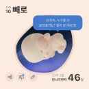 촌닭이두마리중마