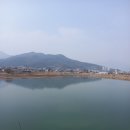 목련수선