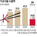 히든푸드 이미지