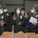 선유농장 이미지