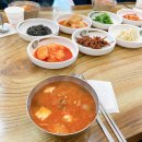 단양 녹즙 | 210203 - 210207 일상 / 땅끄부부 족발야시장 단양당일치기 인생 첫 패러글라이딩 승리호 쏘니 고오오오올~