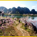 무릉도원 이미지