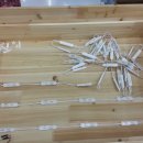 백석대학교부속유치원 이미지