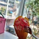 하동마을 | 파주 프로방스 마을 온실카페 베르떼라쓰 다녀온 후기 🌿