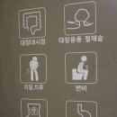 수원-1533 | 치핵 수술 후기 찾기 전, 알아야 할 1가지
