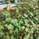 산청공설운동장 이미지