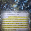 쾌적한 사회의 불쾌함 책 | 구마시로 도루 책 후기 | 우리가 만든 쾌적함이라는 이름의 감옥 추천 리뷰...