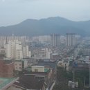 산향들향