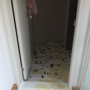 씨유기전원룸점 | 세종시 원룸이사 중 찾아온 특별한 하루, 반려견 일일 도우미가 된 행복용달 이야기