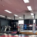 병점센트럴복싱 이미지