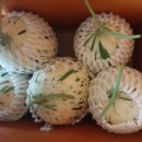 백자농장 이미지