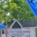 자등1리~자등5리 네이버블로그