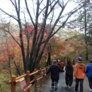 호수공원11로 이미지