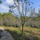 여주-0610 이미지