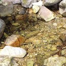 원주대표공인중개사사무소 이미지