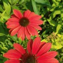 래미안 정문 이미지