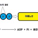 디오엠피트니스 이미지