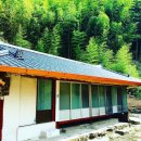 감나무집할머니 이미지