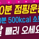 영양핑다이어트